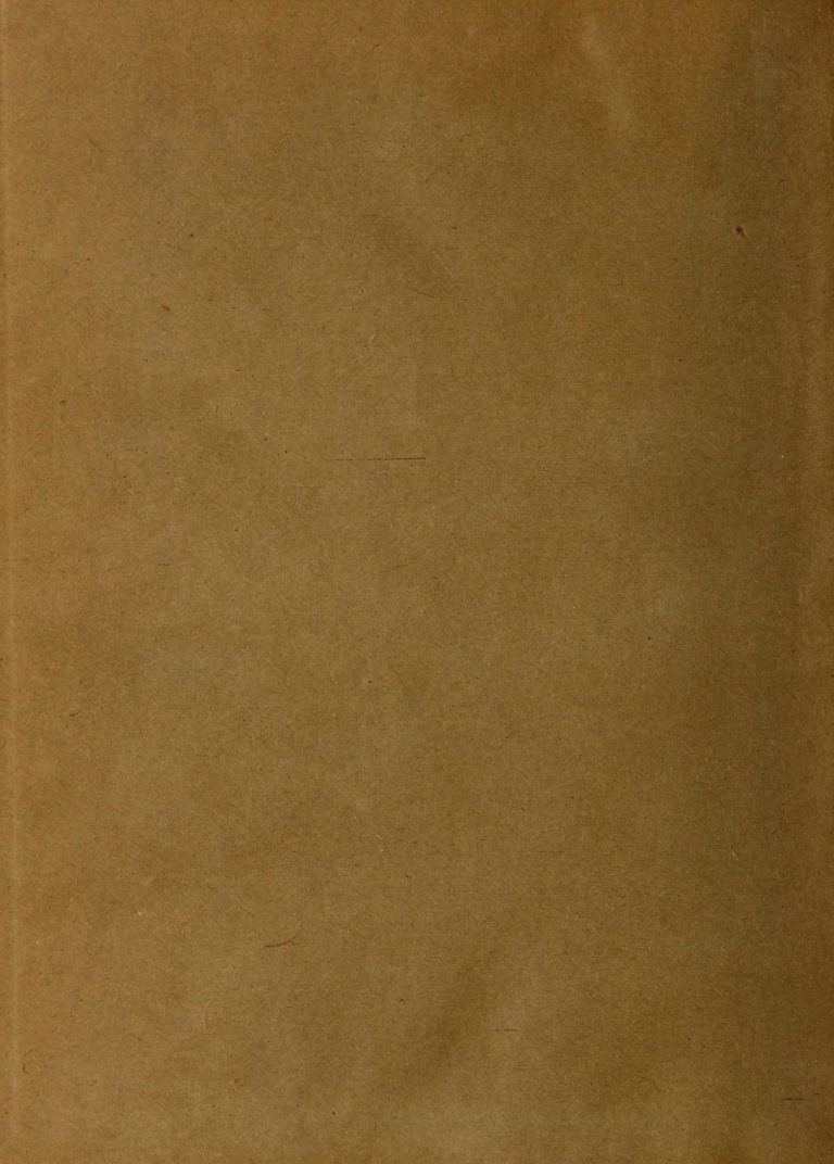 vintage, paper, aged, book, page, texture, brown, old, antique, template, empty, blank, sheet, a4, portrait