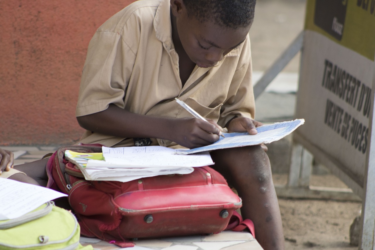 child, boy, student, school, books, notes, learning, african, curious, focused, homework